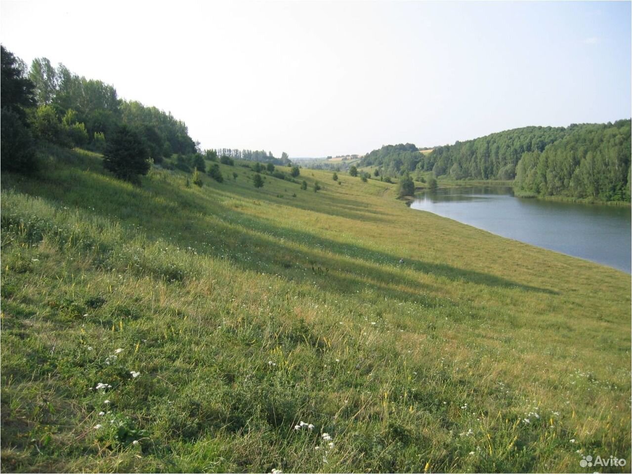 Купить Дом В Курской Области Обоянский Район