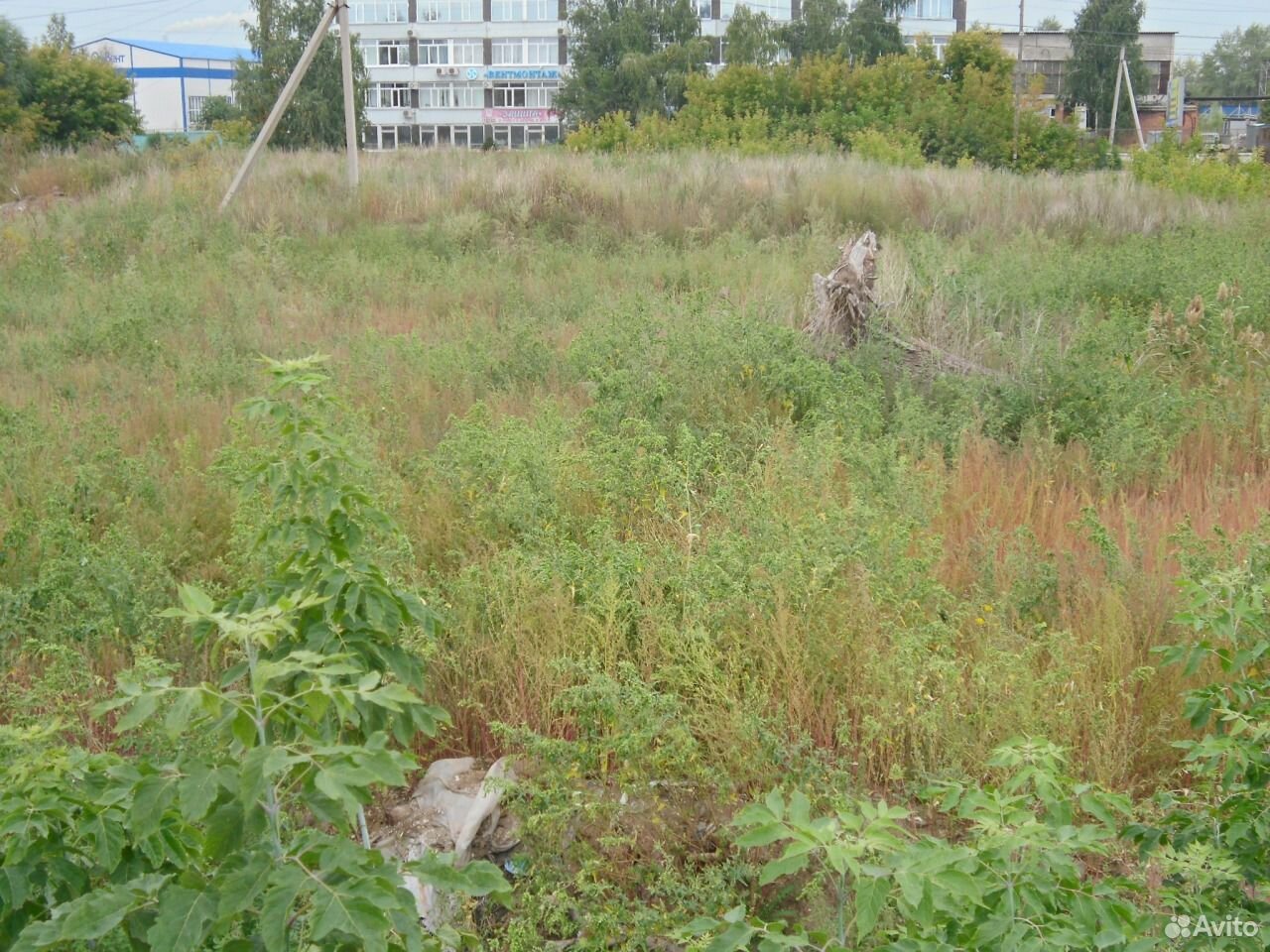 Купить Коммерческую Землю В Омске Недорого