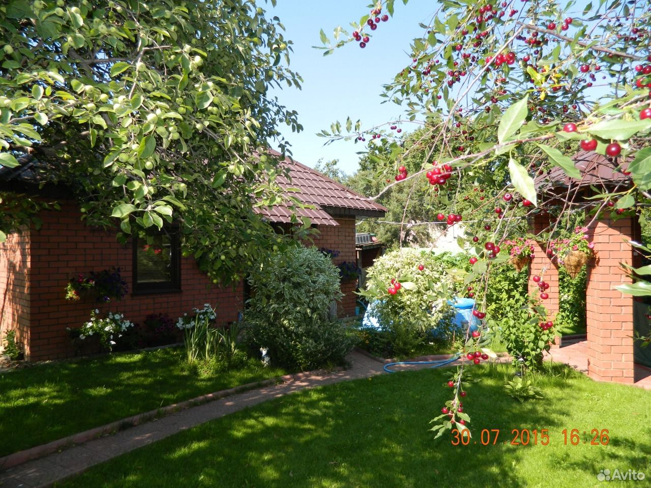 дача снт медик. сад медик челябинск. дачи и сады в чебаркуле. сады медик. участок снт медик челябинск.