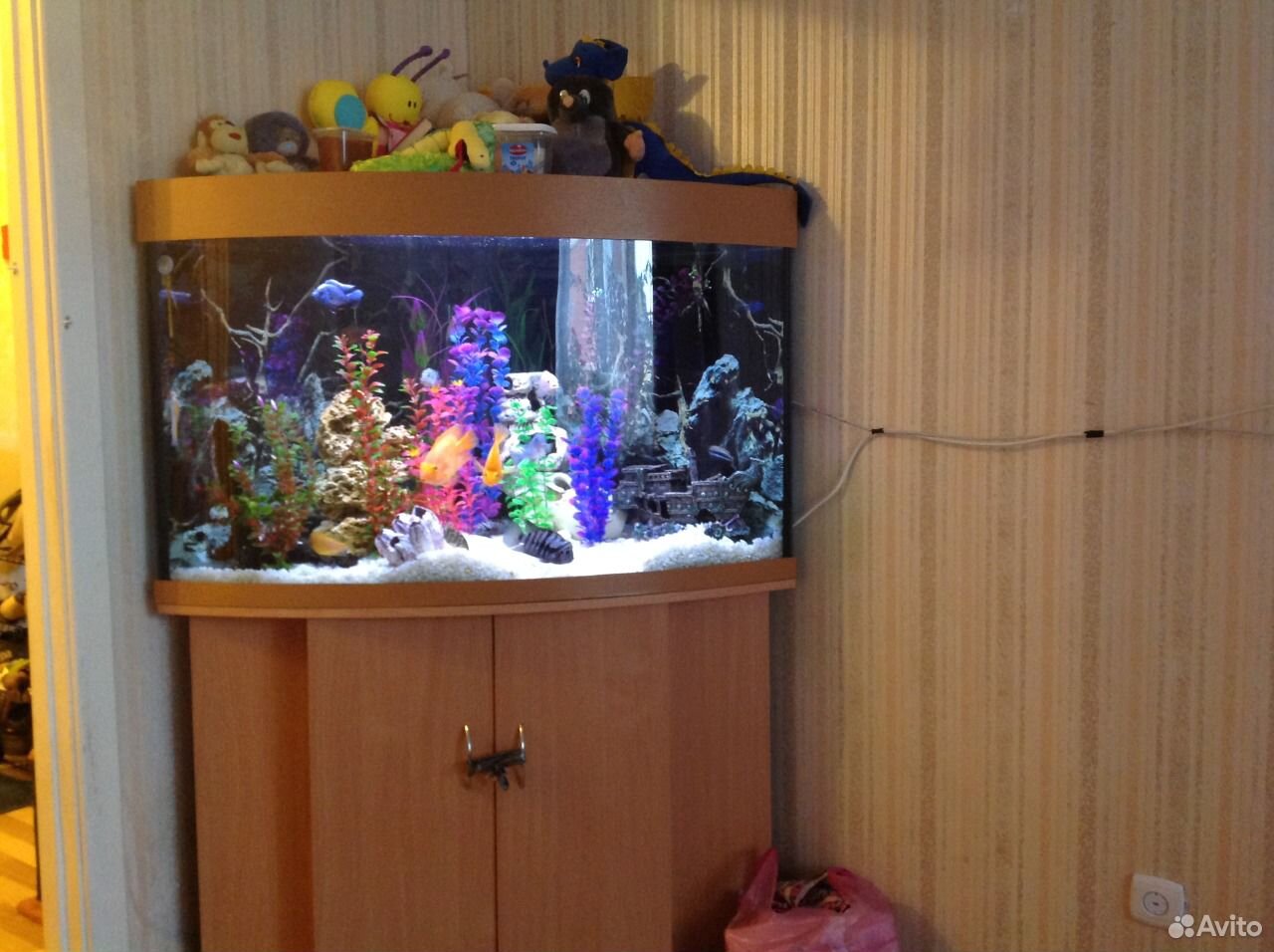 Продам аквариум (350 л) купить на Зозу.ру - фотография № 2
