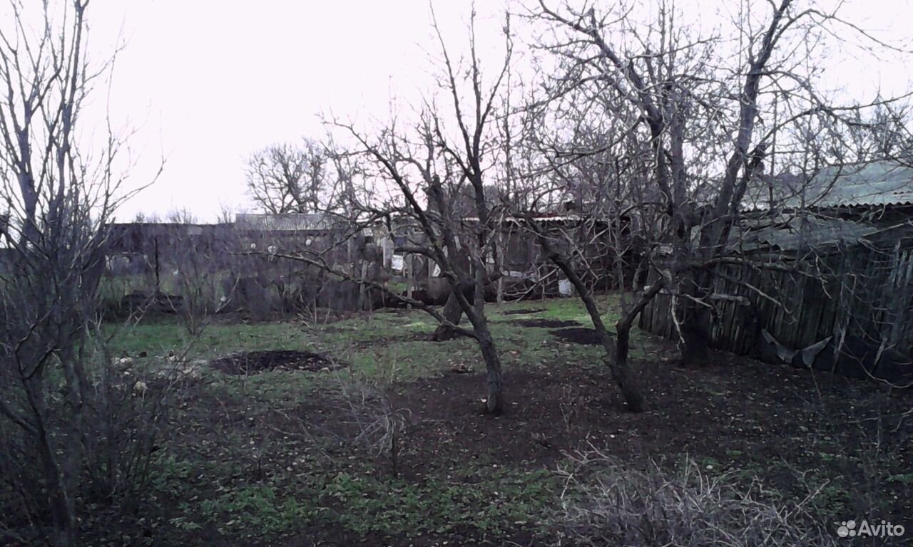 Погода в камышинке