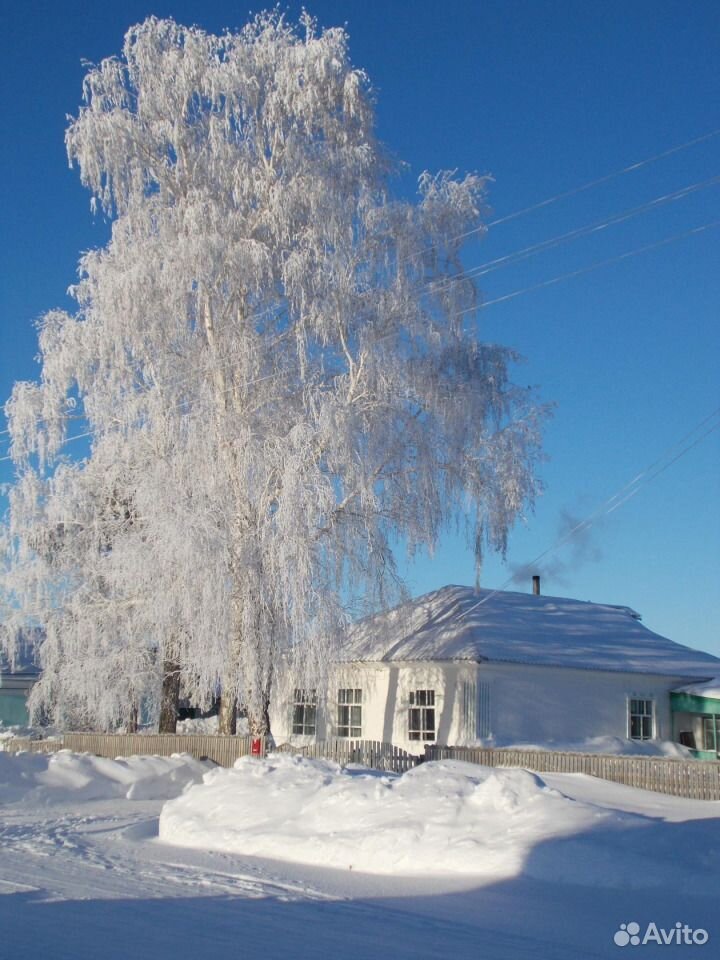 Купить Дом В Алтайском Крае Село Хабары