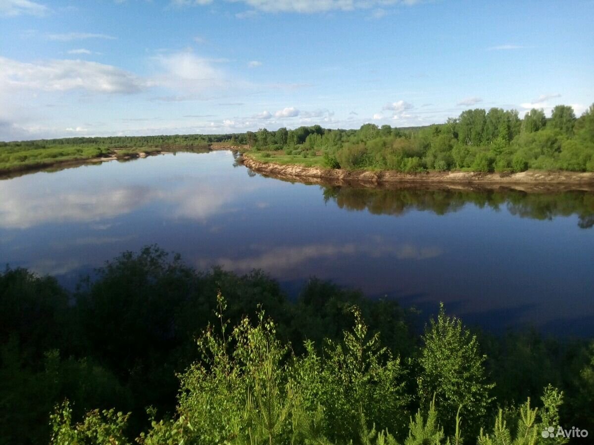 Поселок пруды нижегородская область. Река Ветлуга Нижегородская область.