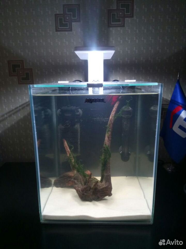 Аквариум Aquael Shrimp set 19 литров купить на Зозу.ру - фотография № 1