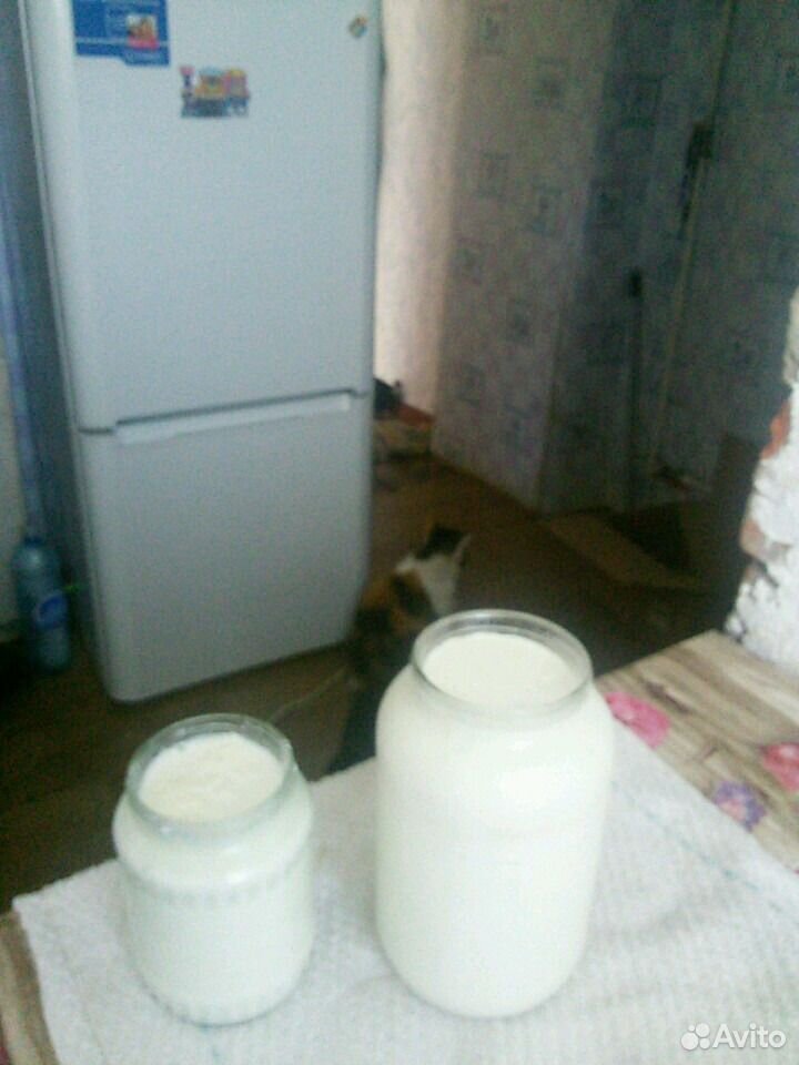 Козье молоко купить на Зозу.ру - фотография № 1