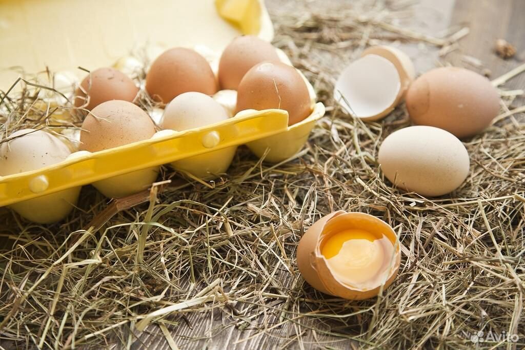 Продам яйца деревенских кур купить на Зозу.ру - фотография № 1