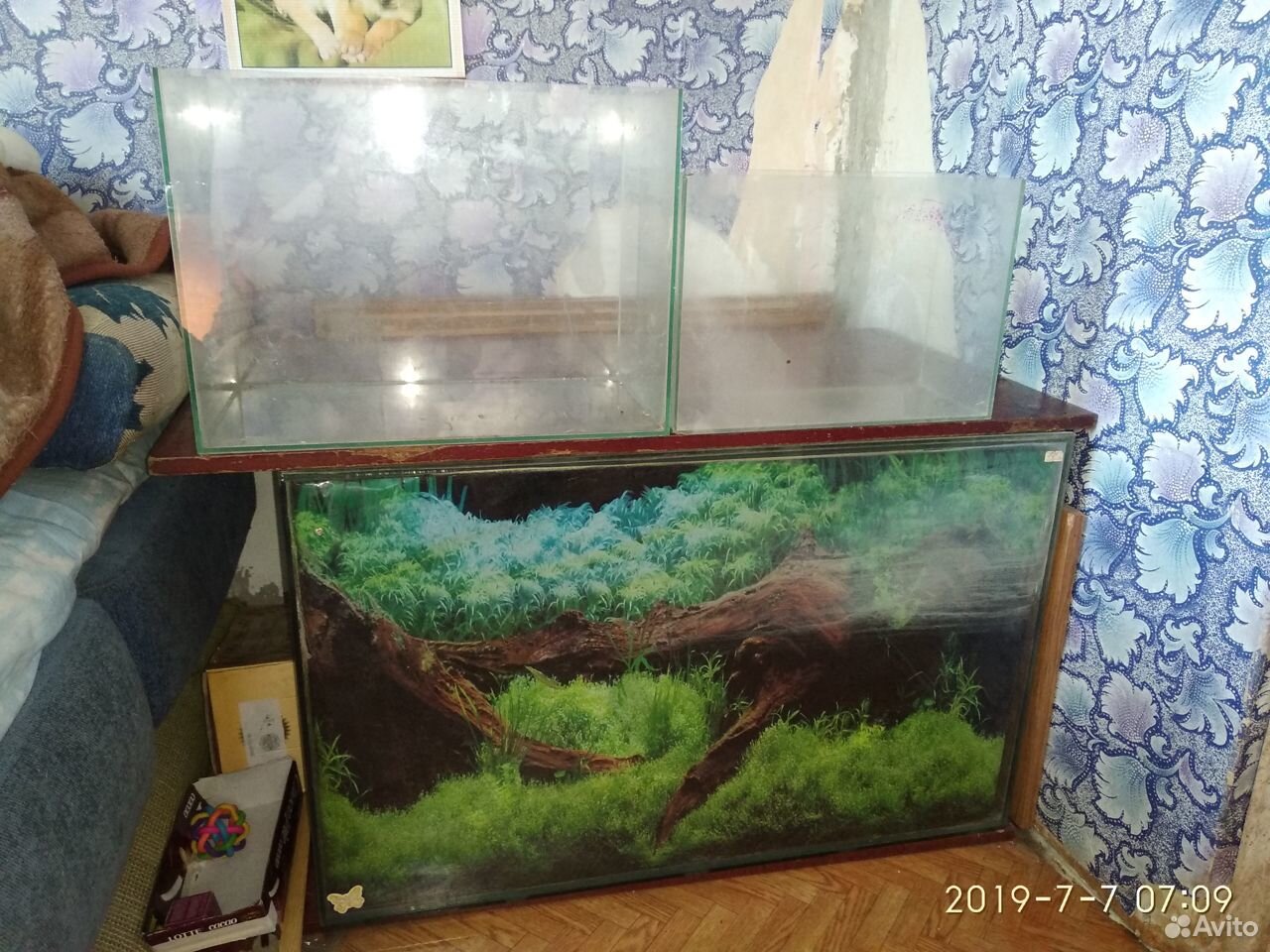 Продам аквариумы купить на Зозу.ру - фотография № 1