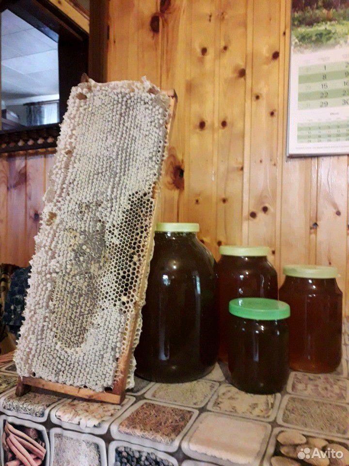 Мёд купить на Зозу.ру - фотография № 3