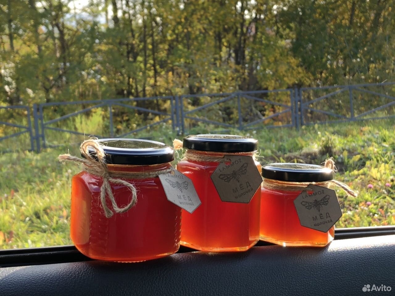 Мёд из цветков молочая купить на Зозу.ру - фотография № 5