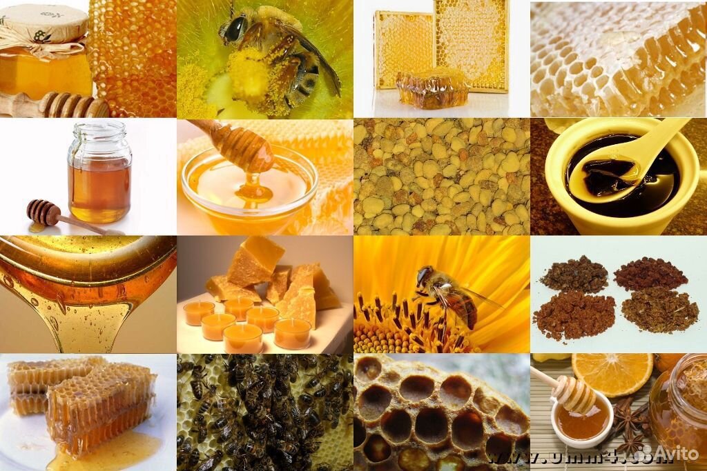 Мед и продукты пчеловодства со своей пасеки купить на Зозу.ру - фотография № 9