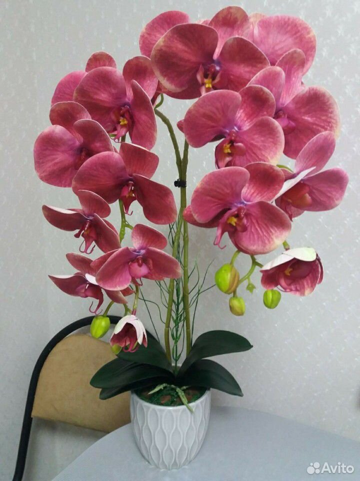 Имитация Орхидеи, латекс, эко-силикон купить на Зозу.ру - фотография № 2