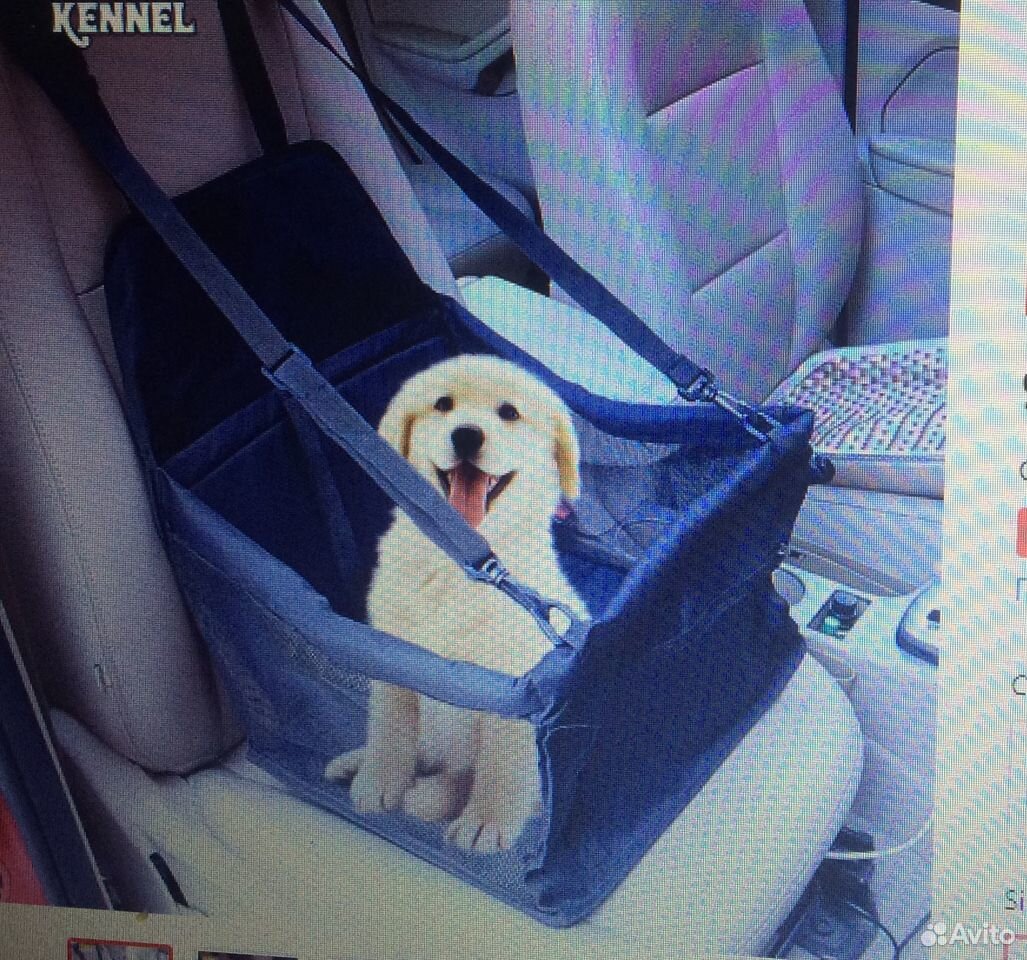 Автомобильное кресло для мелкой собаки цвет чёрный купить на Зозу.ру - фотография № 2