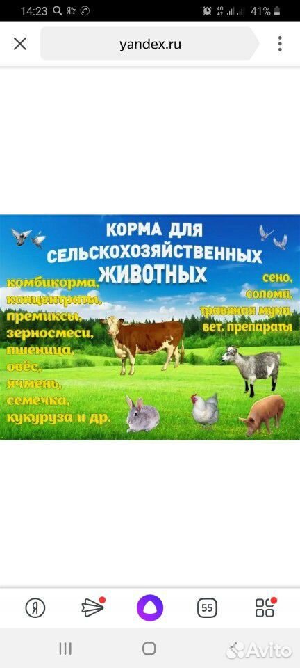 Корма для сельхоз животных купить на Зозу.ру - фотография № 1