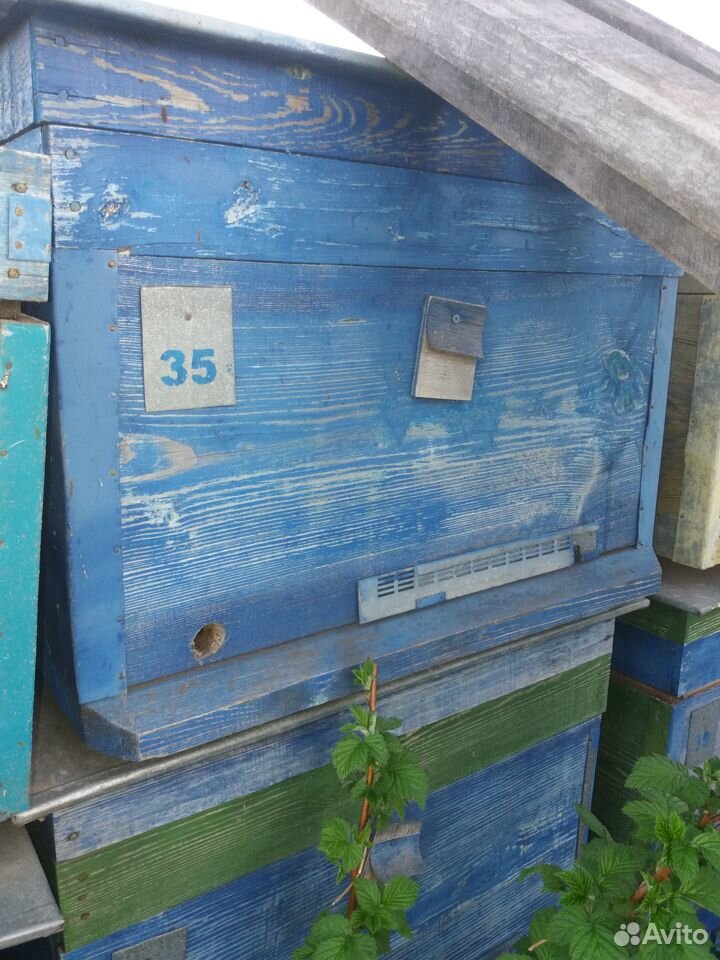 Улья, полулежак, пчелы купить на Зозу.ру - фотография № 1