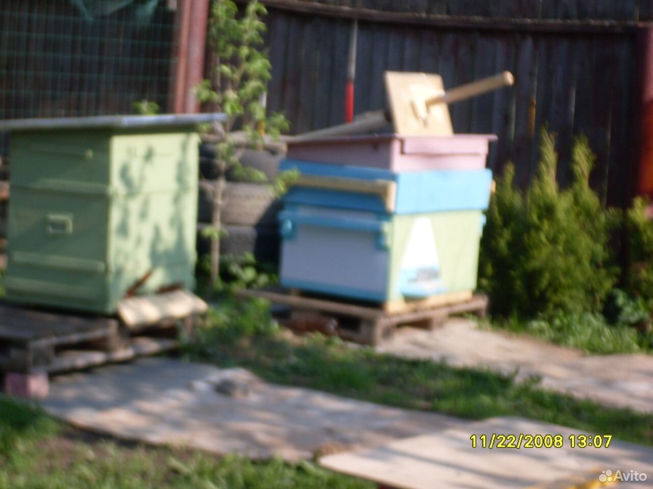 Пчёлы ульи ловушки купить на Зозу.ру - фотография № 4