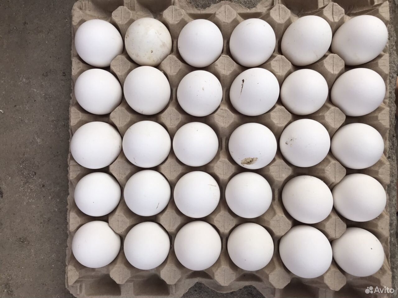 Куриные яйца домашние купить на Зозу.ру - фотография № 1