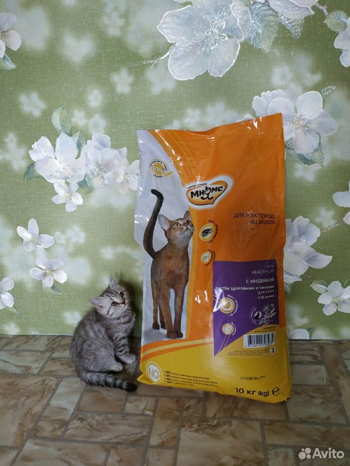Корм для кошек купить на Зозу.ру - фотография № 1