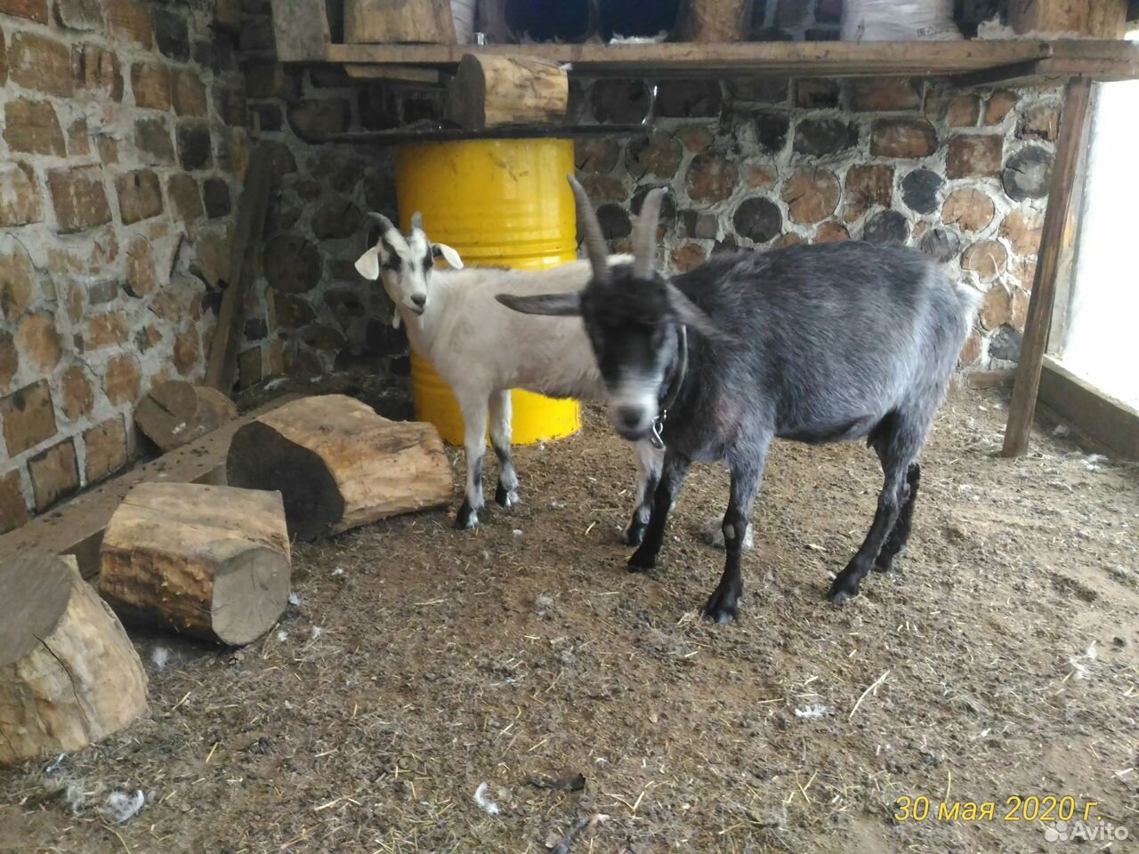 Пуховая коза с козленком купить на Зозу.ру - фотография № 4