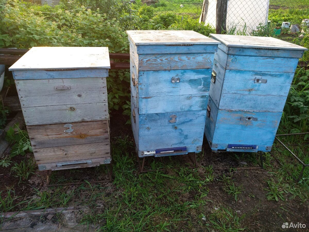 Ульи, инвентарь для пчеловодства купить на Зозу.ру - фотография № 3