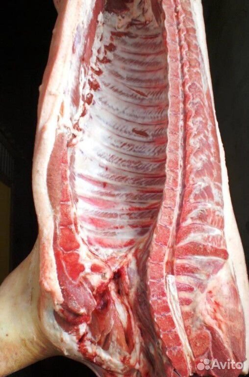 Продам мясо свинины купить на Зозу.ру - фотография № 1