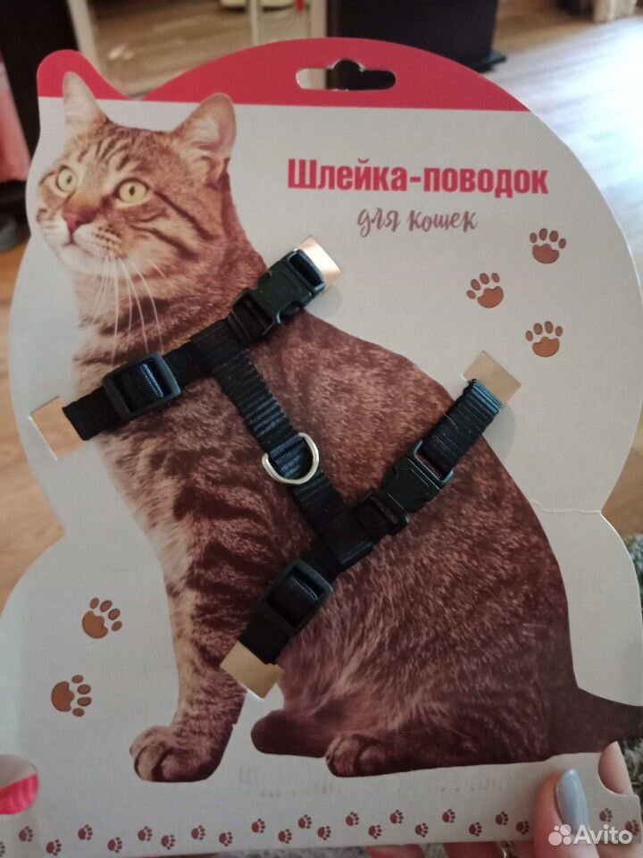 Шлейка для кошек купить на Зозу.ру - фотография № 1