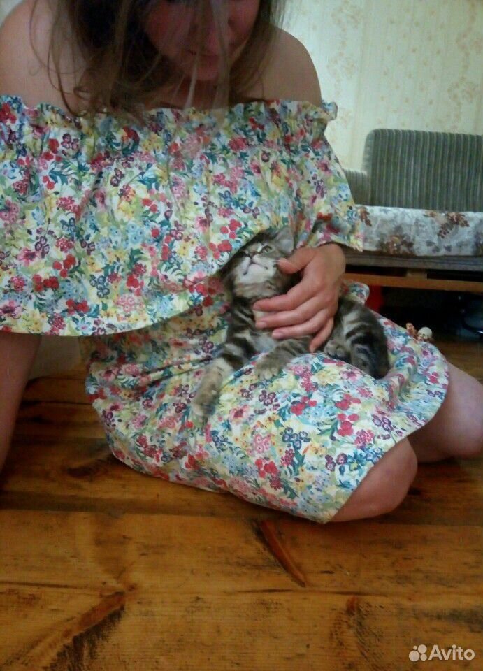 Котенок в ответственные руки купить на Зозу.ру - фотография № 2