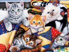 Передержка котов и кошек, и мелких зверюшек) объявление продам