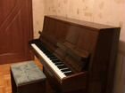 Пианино Petrof 117 см в отличном состоянии объявление продам