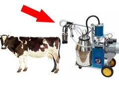 Доильные аппараты для коров 22,6 литров
