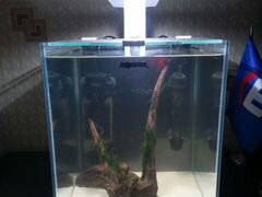 Аквариум Aquael Shrimp set 19 литров