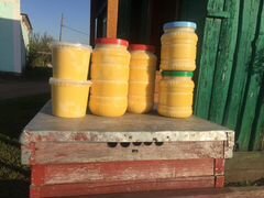 Продам натуральный башкирский цветочный мёд