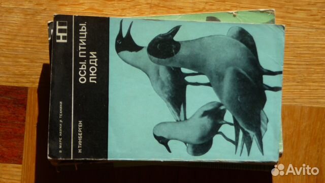 Осы, птицы, люди. Н. Тинберген. Любителям природы
