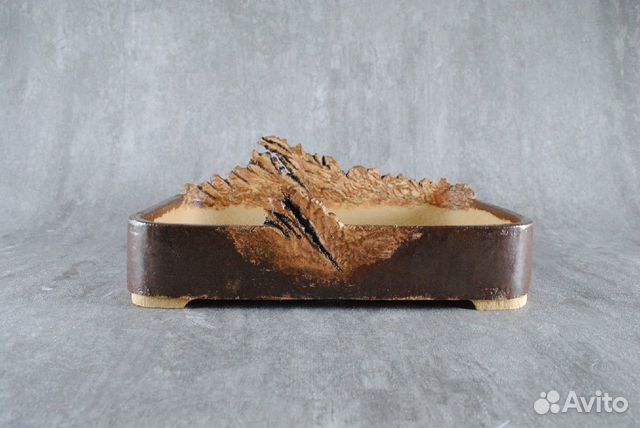 Горшок для бонсай