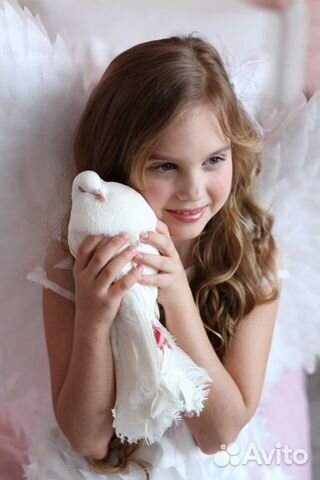 Животные для фотосессии,аренда