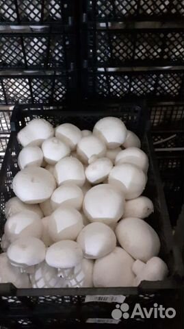 Доставка продуктов