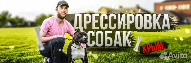Кинолог.Дрессировка собак.Передержка