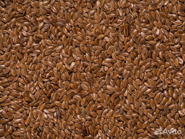 Семена льна Алтайского 