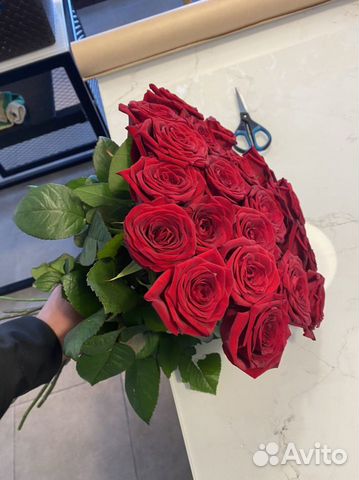 Розы красные. Розы 25 шт. Розы 51 шт