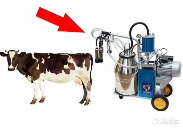 Доильные аппараты для коров 22,6 литров купить на Зозу.ру - фотография № 1