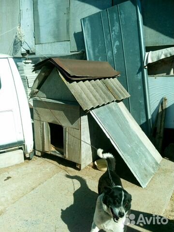 Продается новая,утепленная будка для крупной собак купить на Зозу.ру - фотография № 1