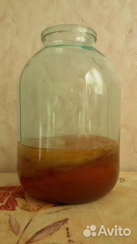 Чайный гриб Чайный гриб