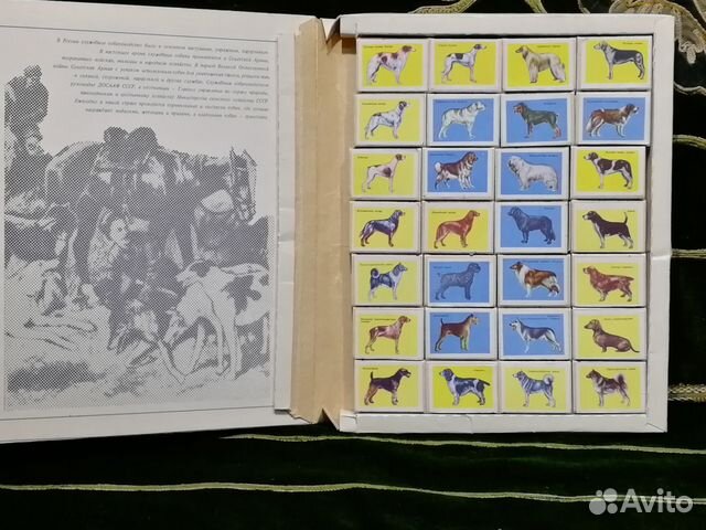 Спичечные коробки служебные и охотничьи собаки Спичечные коробки служебные и охотничьи собаки