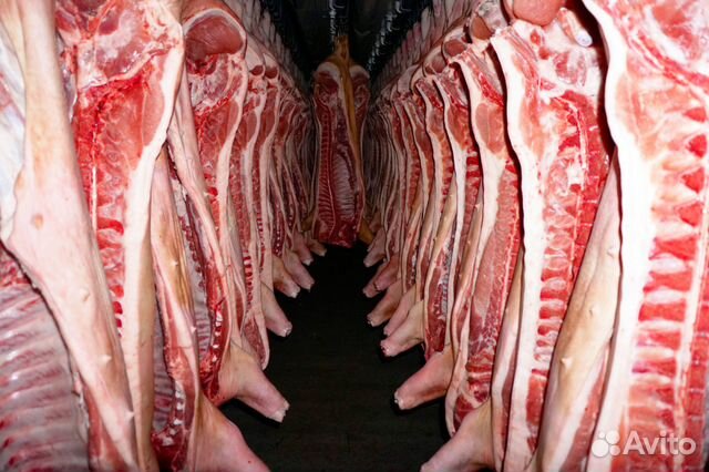 Мясо свинины в полутушах, четвертинах