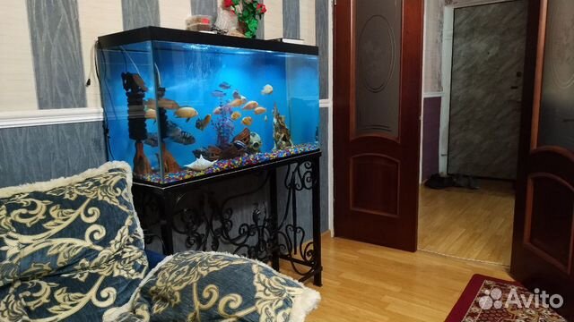 Аквариум и рыбки купить на Зозу.ру - фотография № 1