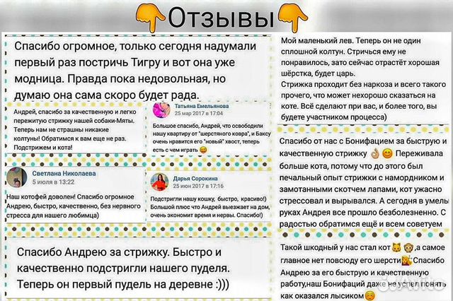 Стрижка котов и кошек. Выезд. Грумер Стрижка котов и кошек. Выезд. Грумер