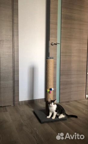 Когтеточка для котов и кошек Когтеточка для котов и кошек