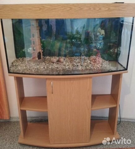 Продам аквариум с оборудованием купить на Зозу.ру - фотография № 1