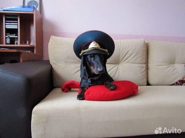 Вязка