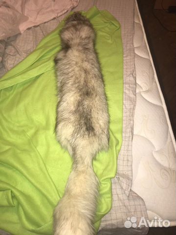 Шкура песца Шкура песца