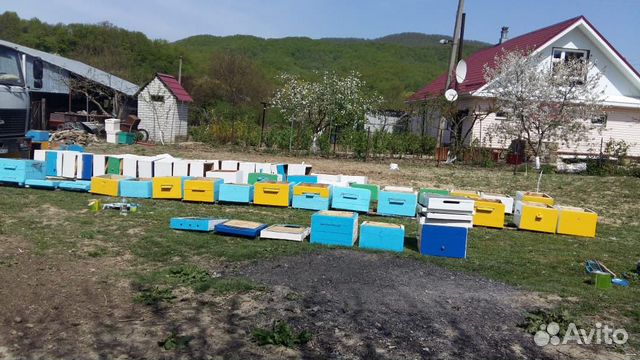 Все для пчёл купить на Зозу.ру - фотография № 6